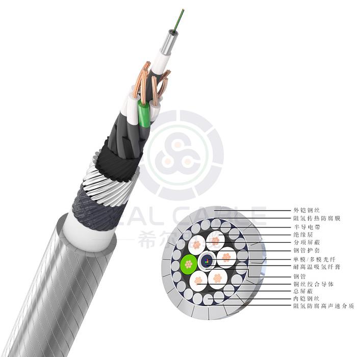 Loadable Hybrid Fiber Optic-Electrical Sensing Composite Cable - 山东希尔电缆有限公司
